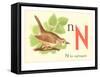 N is for Nightingale-null-Framed Stretched Canvas