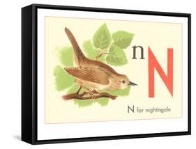 N is for Nightingale-null-Framed Stretched Canvas