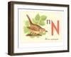 N is for Nightingale-null-Framed Art Print