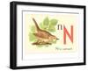 N is for Nightingale-null-Framed Art Print