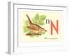 N is for Nightingale-null-Framed Art Print