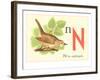 N is for Nightingale-null-Framed Art Print