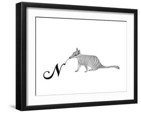 N is for Numbat-Stacy Hsu-Framed Art Print