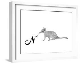 N is for Numbat-Stacy Hsu-Framed Art Print