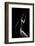 N/T-Paulo Medeiros-Framed Photographic Print