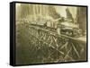 N.W.L. Co. Keriston, Washington (ca. 1912)-Darius Kinsey-Framed Stretched Canvas