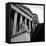NAACP Chief Counsel Thurgood Marshall Standing on Steps of the Supreme Court Building-Hank Walker-Framed Stretched Canvas