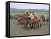 Naadam Festival, Orkhon Valley, Ovorkhangai, Mongolia, Central Asia-Bruno Morandi-Framed Stretched Canvas