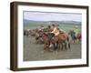 Naadam Festival, Orkhon Valley, Ovorkhangai, Mongolia, Central Asia-Bruno Morandi-Framed Photographic Print