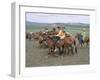 Naadam Festival, Orkhon Valley, Ovorkhangai, Mongolia, Central Asia-Bruno Morandi-Framed Photographic Print