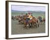 Naadam Festival, Orkhon Valley, Ovorkhangai, Mongolia, Central Asia-Bruno Morandi-Framed Photographic Print