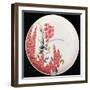 Nabeshima Plate, c.1716-35-null-Framed Giclee Print