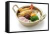 Nabeyaki Udon, Japanese Hot Pot Noodles-oysy-Framed Stretched Canvas