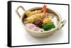 Nabeyaki Udon, Japanese Hot Pot Noodles-oysy-Framed Stretched Canvas