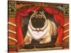 Nabokov's Pug, 2006-Frances Broomfield-Stretched Canvas