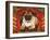 Nabokov's Pug, 2006-Frances Broomfield-Framed Giclee Print