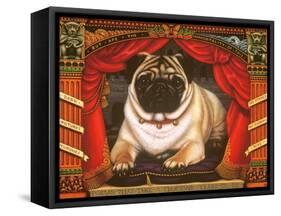 Nabokov's Pug, 2006-Frances Broomfield-Framed Stretched Canvas