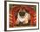 Nabokov's Pug, 2006-Frances Broomfield-Framed Giclee Print