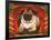 Nabokov's Pug, 2006-Frances Broomfield-Framed Giclee Print