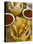Nachos (Totopos) (Tortilla Chips) with Chili Sauce, Mexican Food, Mexico, North America-Nico Tondini-Stretched Canvas