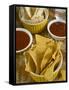 Nachos (Totopos) (Tortilla Chips) with Chili Sauce, Mexican Food, Mexico, North America-Nico Tondini-Framed Stretched Canvas