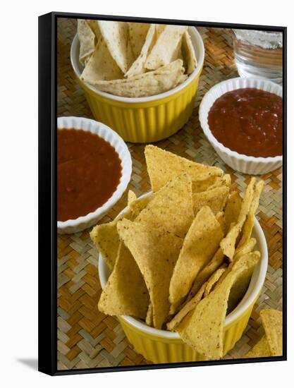 Nachos (Totopos) (Tortilla Chips) with Chili Sauce, Mexican Food, Mexico, North America-Nico Tondini-Framed Stretched Canvas