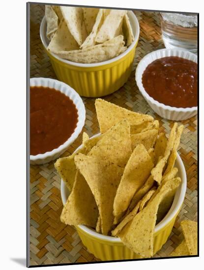 Nachos (Totopos) (Tortilla Chips) with Chili Sauce, Mexican Food, Mexico, North America-Nico Tondini-Mounted Photographic Print