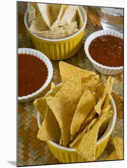 Nachos (Totopos) (Tortilla Chips) with Chili Sauce, Mexican Food, Mexico, North America-Nico Tondini-Mounted Photographic Print