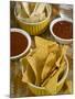 Nachos (Totopos) (Tortilla Chips) with Chili Sauce, Mexican Food, Mexico, North America-Nico Tondini-Mounted Photographic Print