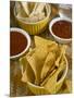 Nachos (Totopos) (Tortilla Chips) with Chili Sauce, Mexican Food, Mexico, North America-Nico Tondini-Mounted Photographic Print