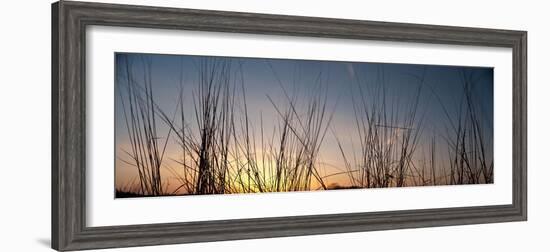 Nachusa Grasslands Sunset-Steve Gadomski-Framed Photographic Print