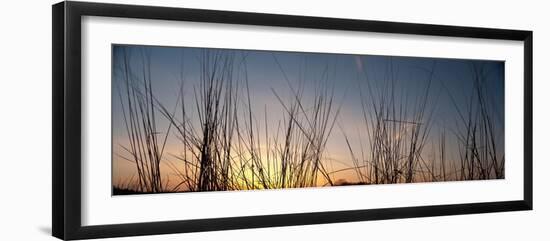 Nachusa Grasslands Sunset-Steve Gadomski-Framed Photographic Print