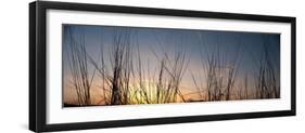 Nachusa Grasslands Sunset-Steve Gadomski-Framed Photographic Print