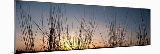 Nachusa Grasslands Sunset-Steve Gadomski-Mounted Photographic Print