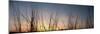 Nachusa Grasslands Sunset-Steve Gadomski-Mounted Photographic Print