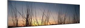 Nachusa Grasslands Sunset-Steve Gadomski-Mounted Photographic Print
