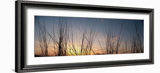 Nachusa Grasslands Sunset-Steve Gadomski-Framed Photographic Print