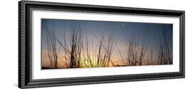 Nachusa Grasslands Sunset-Steve Gadomski-Framed Photographic Print