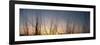 Nachusa Grasslands Sunset-Steve Gadomski-Framed Photographic Print