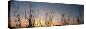 Nachusa Grasslands Sunset-Steve Gadomski-Stretched Canvas