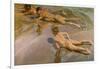 Nackte Knaben Am Strand-Joaquín Sorolla y Bastida-Framed Giclee Print