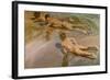 Nackte Knaben Am Strand-Joaquín Sorolla y Bastida-Framed Giclee Print