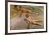 Nackte Knaben Am Strand-Joaquín Sorolla y Bastida-Framed Giclee Print