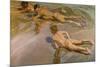 Nackte Knaben Am Strand-Joaquín Sorolla y Bastida-Mounted Giclee Print