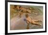 Nackte Knaben Am Strand-Joaquín Sorolla y Bastida-Framed Premium Giclee Print