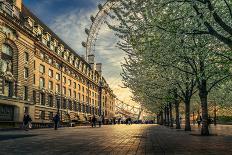 Last Daylights at the London Eye-Nader El Assy-Photographic Print