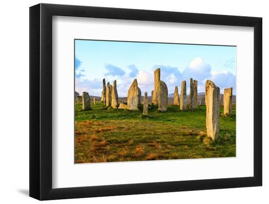 Premium Photographic Print, , large