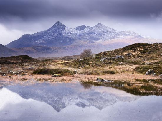 Photographic Print, , large