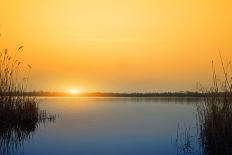 Summer Landscape: Beauty Sunset over Sunflowers Field-nadiya_sergey-Photographic Print