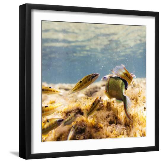 Premium Photographic Print, , large